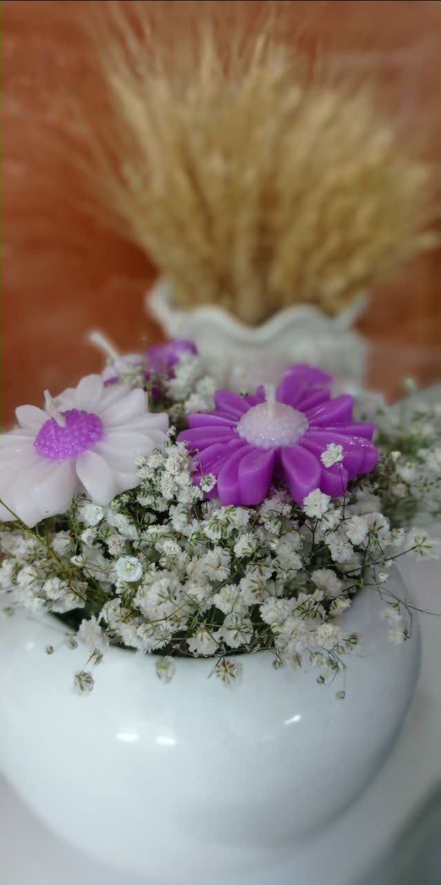 گلدان بابونه بنفش